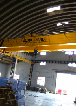 Double Girder EOT CRANE
